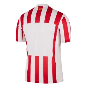 Atletico Madrid Soccer Jersey Home Custom Shirt 2025/26 Jersey