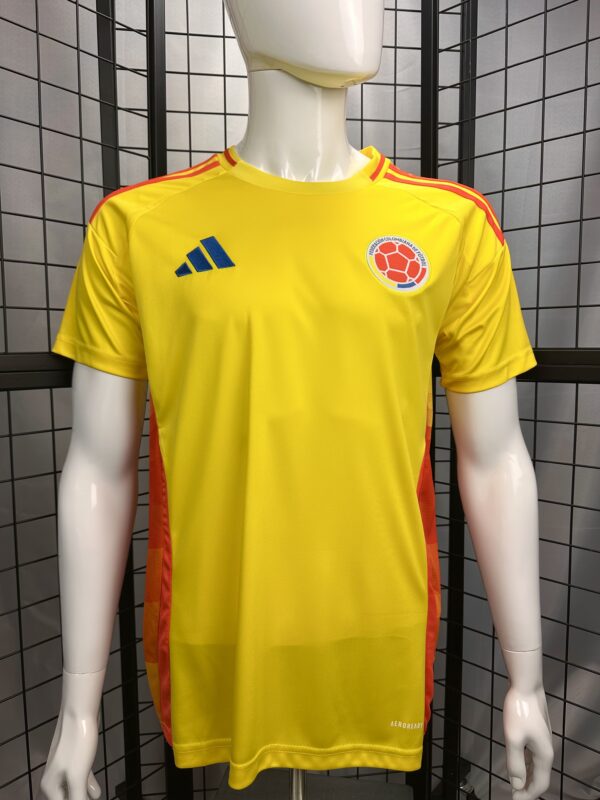 Colombia Home Player Version Fan 2024