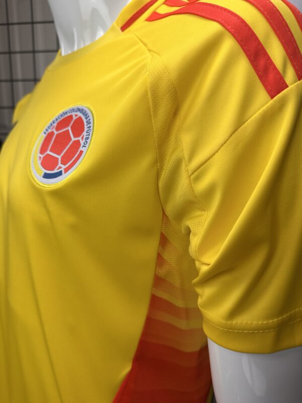 Colombia Home Player Version Fan 2024