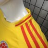 Colombia Home Player Version Fan 2024