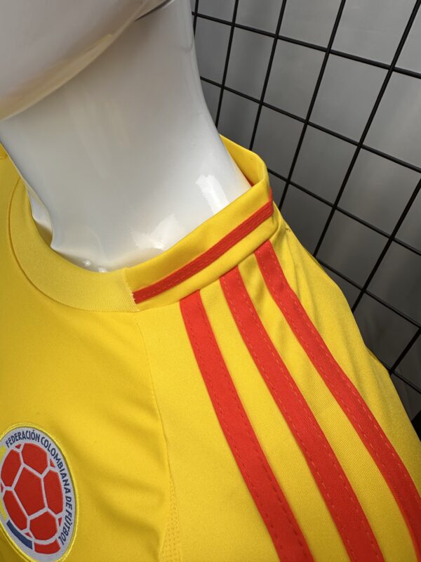 Colombia Home Player Version Fan 2024
