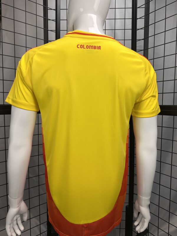 Colombia Home Player Version Fan 2024